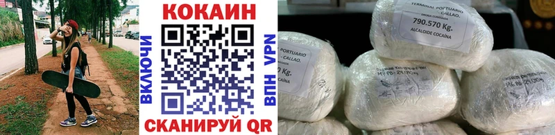 Кокаин Fish Scale  Купить где  Нерехта 