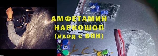 PSILOCYBIN Ельня