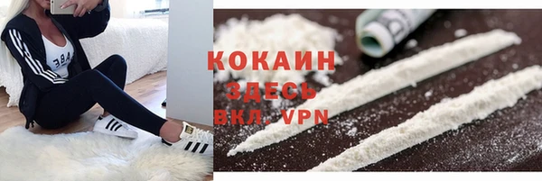 дурь Елабуга