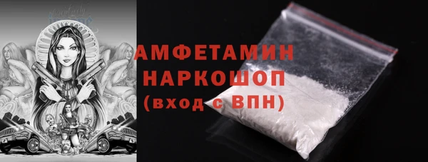 PSILOCYBIN Ельня