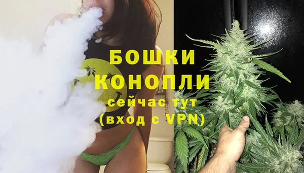 PSILOCYBIN Ельня