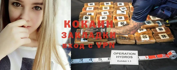 PSILOCYBIN Ельня