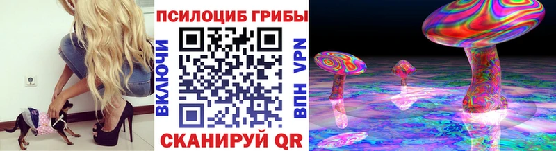 Купить где  Нерехта  Галлюциногенные грибы Magic Shrooms 