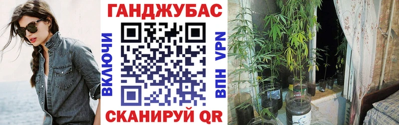 Купить где  Нерехта  МАРИХУАНА ГИДРОПОН 